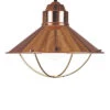 1-Light Dowd Pendant Home -Kenroy Shop 3050816715 RLLD 1