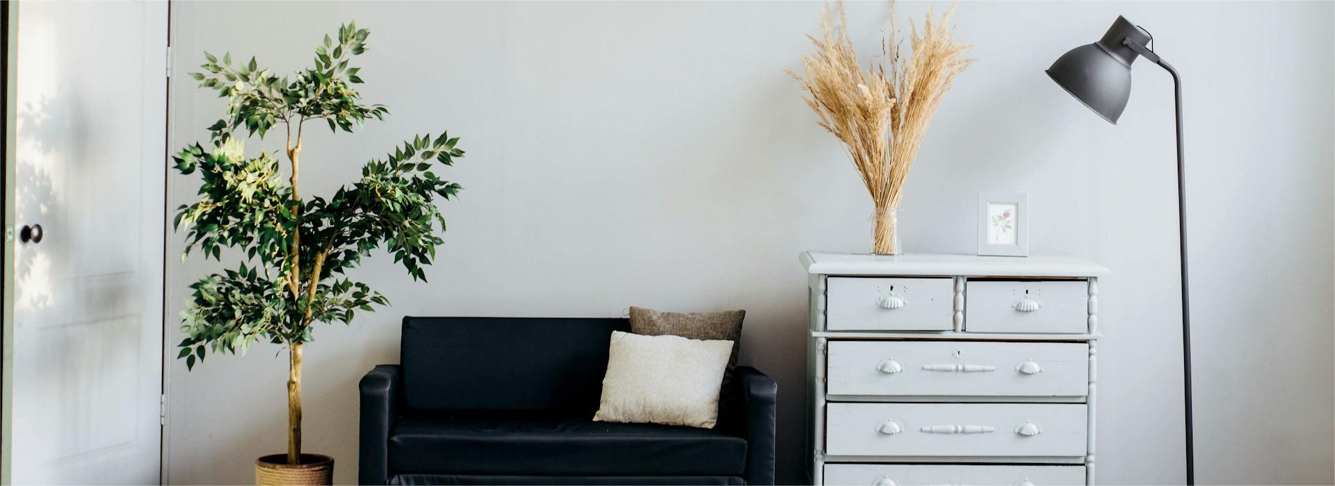 Kenroy Shop 1 Kenroy Shop -Kenroy Shop alexandra gorn JIUjvqe2ZHg unsplash